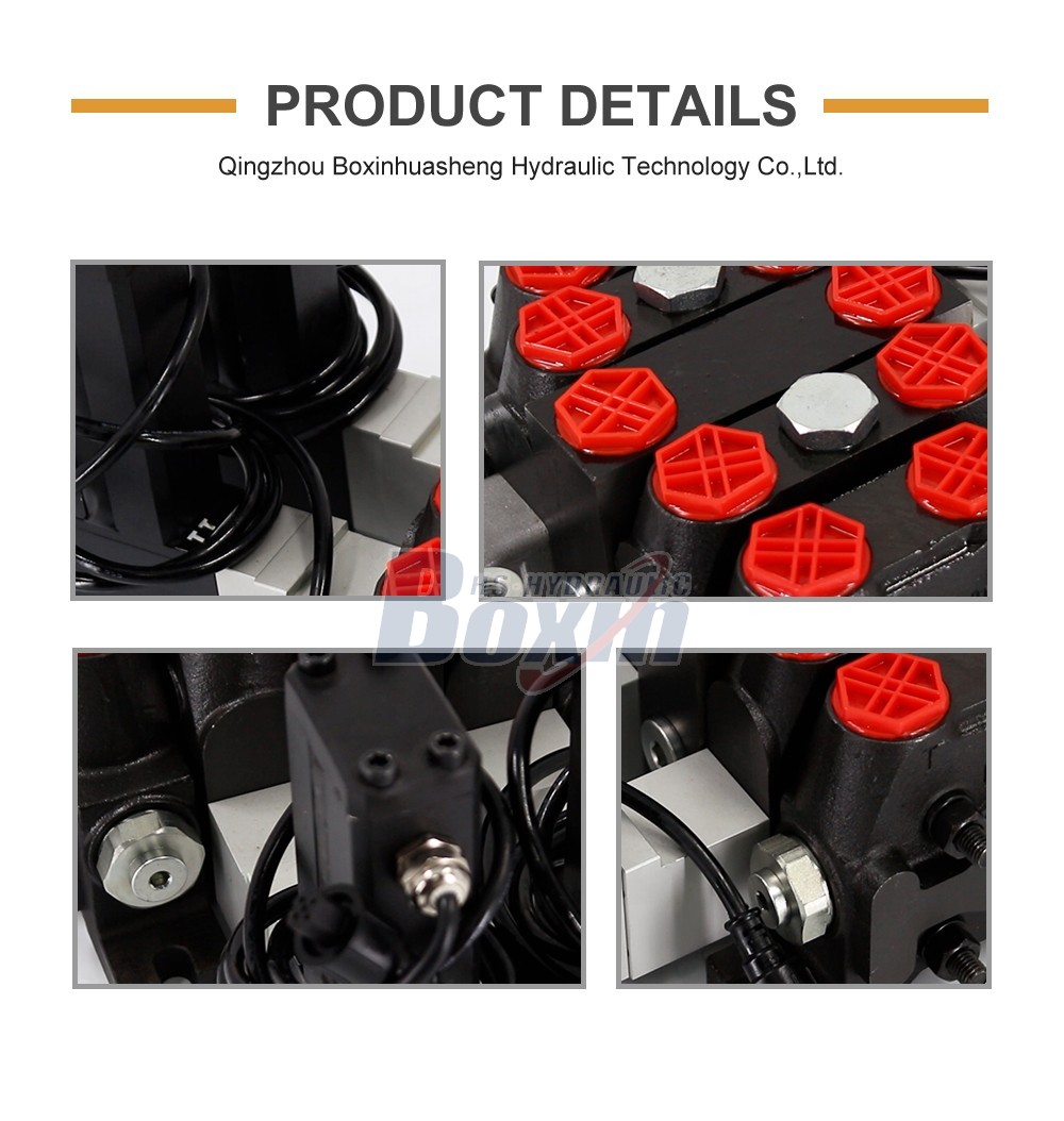 DCV100 Electric motor 2 Spool Sectional Directional Valve detailed image
